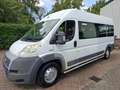 Fiat Ducato 3.0 7-PERSOONS 4250.- INCL BTW ROLSTOELVERVOER AAR Blanc - thumbnail 3