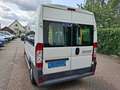 Fiat Ducato 3.0 7-PERSOONS 4250.- INCL BTW ROLSTOELVERVOER AAR Blanc - thumbnail 5