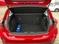 Ford Focus Active 1,0 EcoBoost Automatik ACC PDC Pano Rot - thumbnail 14
