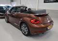 Volkswagen Beetle Cabriolet 1.2 TSI Sound 2018 Camera Navigatie App Braun - thumbnail 29