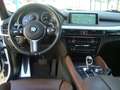 BMW X6 xdrive30d Msport 258cv auto Bianco - thumbnail 8