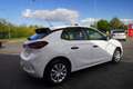 Opel Corsa F 1.2 Basis Klima Tempomat DAB Spurhalte Bianco - thumbnail 5