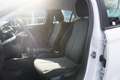 Opel Corsa F 1.2 Basis Klima Tempomat DAB Spurhalte Bianco - thumbnail 8