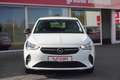 Opel Corsa F 1.2 Basis Klima Tempomat DAB Spurhalte Bianco - thumbnail 7