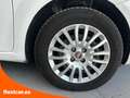 Fiat Punto 1.2 8v Easy 69 CV S&S Gasolina Blanc - thumbnail 11