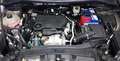 Ford Kuga 1.5 ecoblue Titanium 2wd 120cv Oro - thumbnail 15
