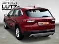 Ford Kuga Titanium Automatik Allrad AHK Navi City Stop PDC K Rouge - thumbnail 3