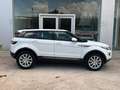 Land Rover Range Rover Evoque 2.2L TD4 Prestige 4x4 Aut. Weiß - thumbnail 1