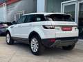 Land Rover Range Rover Evoque 2.2L TD4 Prestige 4x4 Aut. Weiß - thumbnail 6