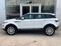 Land Rover Range Rover Evoque 2.2L TD4 Prestige 4x4 Aut. Weiß - thumbnail 5