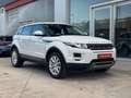 Land Rover Range Rover Evoque 2.2L TD4 Prestige 4x4 Aut. Weiß - thumbnail 4