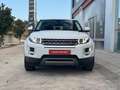 Land Rover Range Rover Evoque 2.2L TD4 Prestige 4x4 Aut. Weiß - thumbnail 3