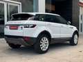 Land Rover Range Rover Evoque 2.2L TD4 Prestige 4x4 Aut. Weiß - thumbnail 8