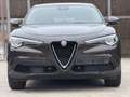 Alfa Romeo Stelvio Stelvio 2.2 JTD Super-2020-Navi-Leder-Acc-Camera Braun - thumbnail 2