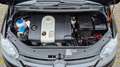 Volkswagen Golf Plus V 1.6 /SHZ/TEMPO/ALLWETTER/TÜV NEU Schwarz - thumbnail 20