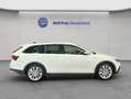 Skoda Octavia Combi Scout 2.0 TDI DSG 4x4 AHK Weiß - thumbnail 6