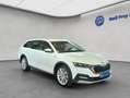 Skoda Octavia Combi 2.0 TDI DSG 4x4 Scout Weiß - thumbnail 7