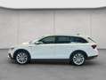 Skoda Octavia Combi Scout 2.0 TDI DSG 4x4 AHK Weiß - thumbnail 2