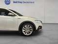 Skoda Octavia Combi Scout 2.0 TDI DSG 4x4 AHK Weiß - thumbnail 20