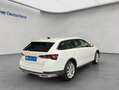 Skoda Octavia Combi Scout 2.0 TDI DSG 4x4 AHK Weiß - thumbnail 5
