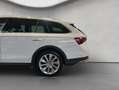 Skoda Octavia Combi Scout 2.0 TDI DSG 4x4 AHK Weiß - thumbnail 21