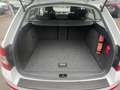 Skoda Octavia Ambition Combi 2,0TDI 4x4 150 PS Weiß - thumbnail 12