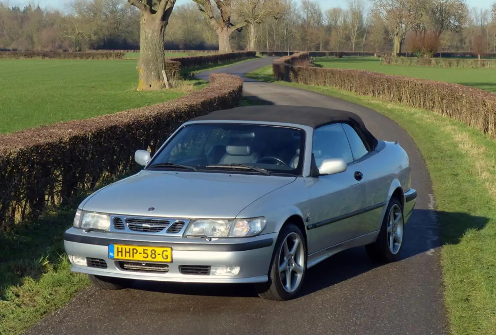 Saab 9-3 Cabrio 2.0 T SE Design Edition Grau - 2