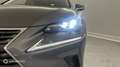 Lexus NX 300h 300h 4WD Executive Euro6d-T - thumbnail 17