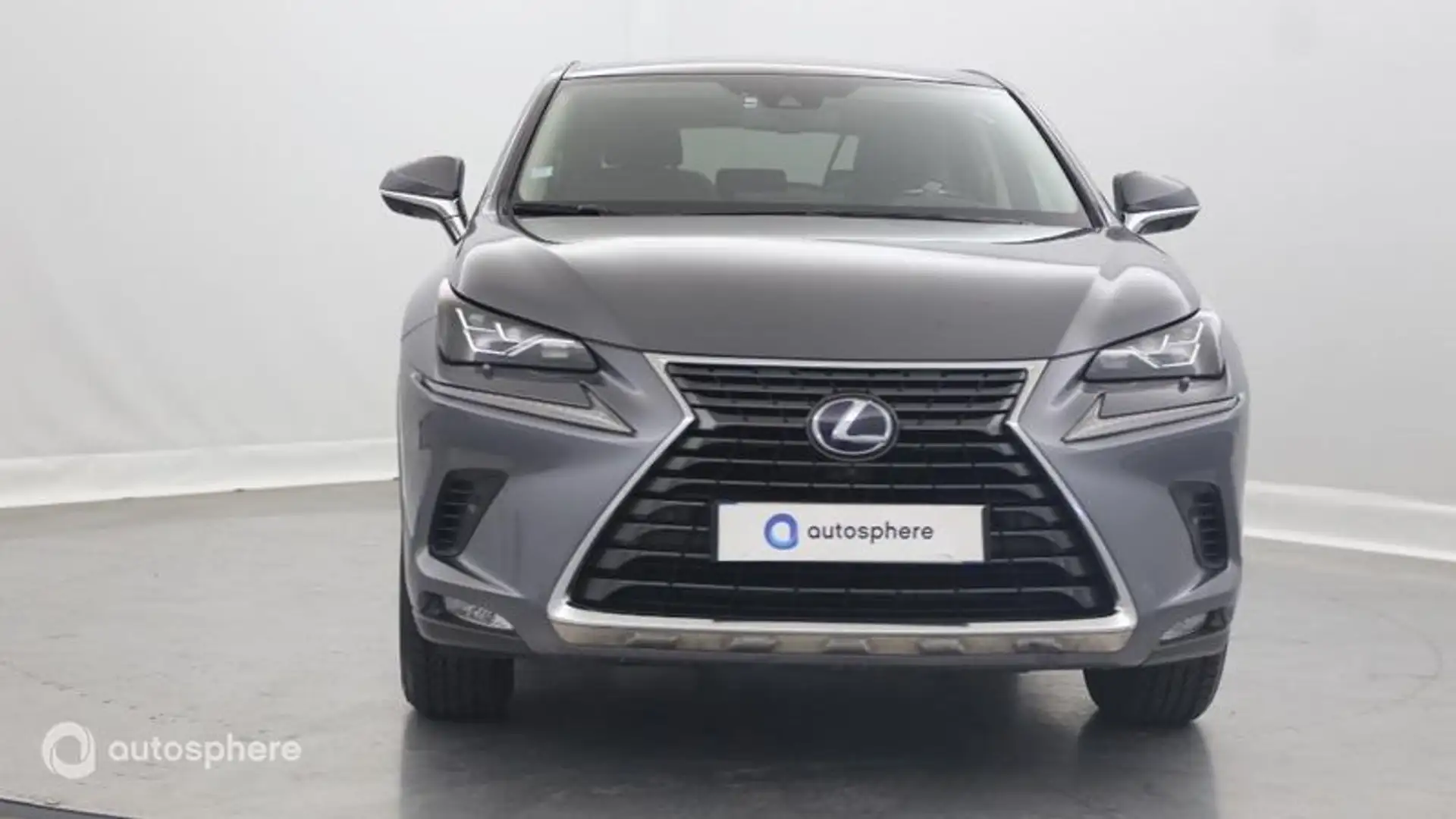 Lexus NX 300h 300h 4WD Executive Euro6d-T - 2