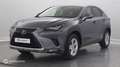 Lexus NX 300h 300h 4WD Executive Euro6d-T - thumbnail 1