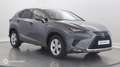 Lexus NX 300h 300h 4WD Executive Euro6d-T - thumbnail 3