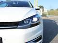 Volkswagen Golf Variant 2.0 TDI 2.HD LED+ACC+Massage+Alcantara+NAV+MWST Weiß - thumbnail 7