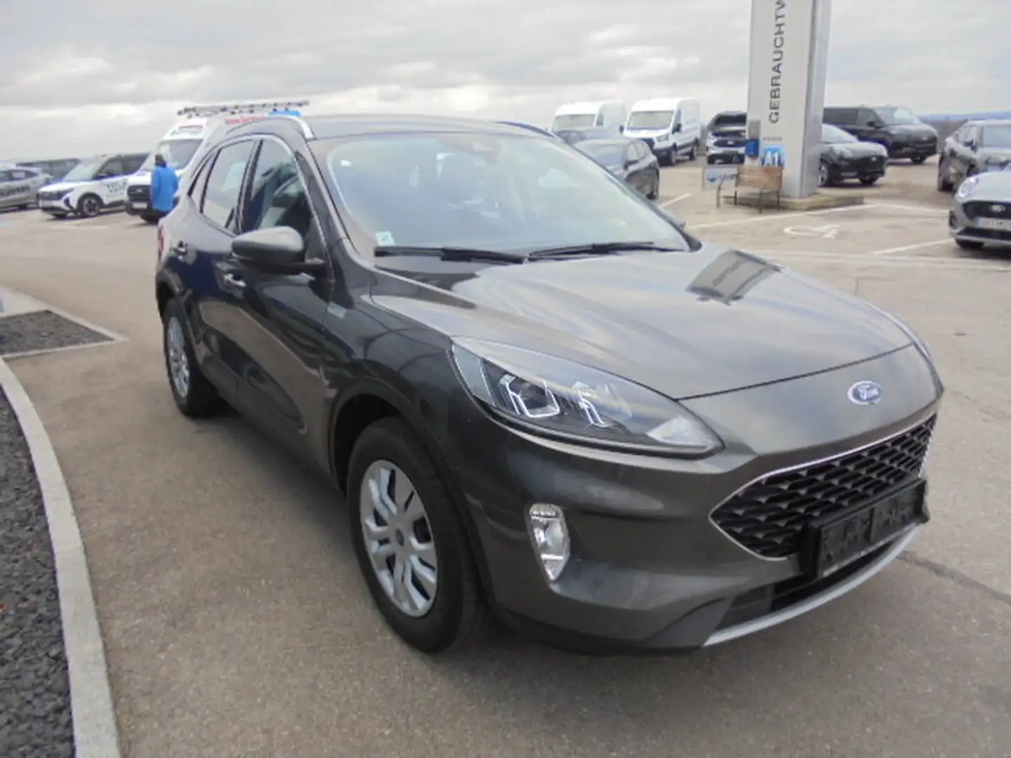 Ford Kuga Cool&Connect 1,5L 120PS Benzin Grau - 2