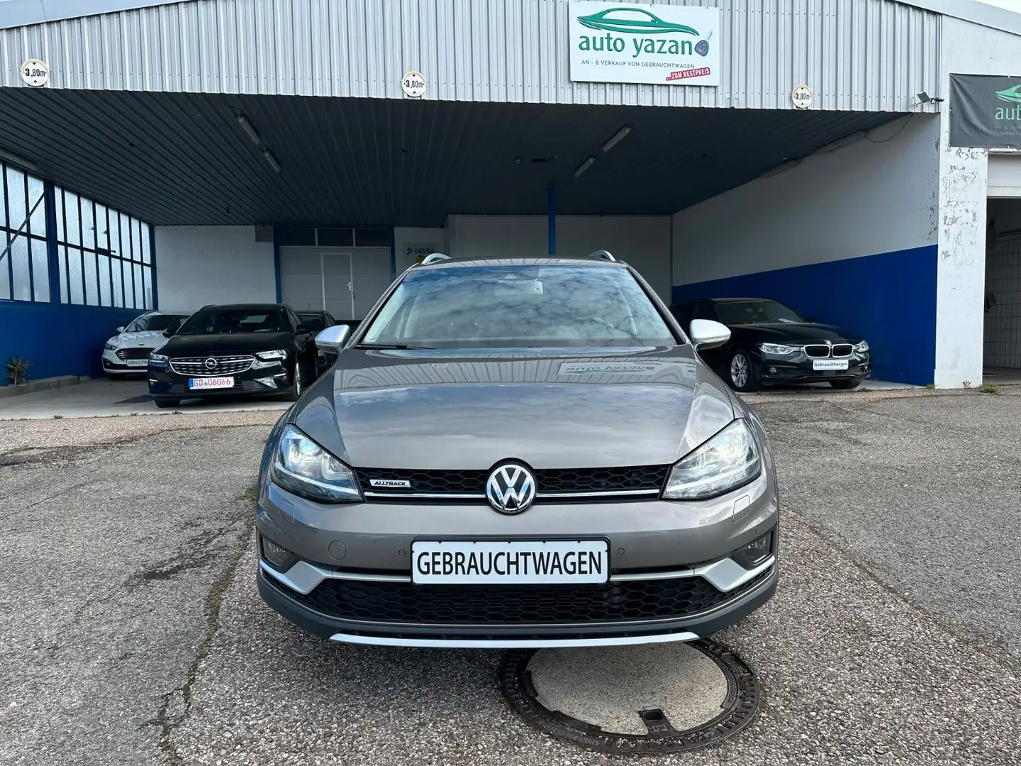 Volkswagen Golf VII Alltrack Variant 4Motion /NAVI/Massage Grigio - 2