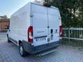 Fiat Ducato 3.0 Metano 2 Posti passo medio tetto alto Bianco - thumbnail 3