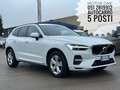 Volvo XC60 AUTOCARRO 5 POSTI 2.0 b4 Momentum auto Bianco - thumbnail 1