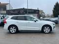 Volvo XC60 AUTOCARRO 5 POSTI 2.0 b4 Momentum auto Bianco - thumbnail 9