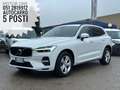 Volvo XC60 AUTOCARRO 5 POSTI 2.0 b4 Momentum auto Bianco - thumbnail 3