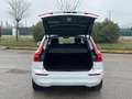 Volvo XC60 AUTOCARRO 5 POSTI 2.0 b4 Momentum auto Bianco - thumbnail 8