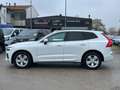 Volvo XC60 AUTOCARRO 5 POSTI 2.0 b4 Momentum auto Bianco - thumbnail 10