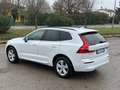 Volvo XC60 AUTOCARRO 5 POSTI 2.0 b4 Momentum auto Bianco - thumbnail 13