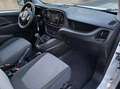 Fiat Doblò Cargo 1.6 mjt 105cv CH1 Business S&S - thumbnail 14