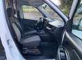 Fiat Doblò Cargo 1.6 mjt 105cv CH1 Business S&S - thumbnail 13