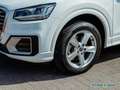 Audi Q2 1.5TFSI S tronic sport /LED/Navi/Sitzhzg/PDC Biały - thumbnail 10