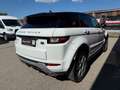 Land Rover Range Rover Evoque HSE Dynamic 2,0 TD4 Aut. Weiß - thumbnail 4