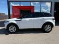 Land Rover Range Rover Evoque HSE Dynamic 2,0 TD4 Aut. Weiß - thumbnail 6