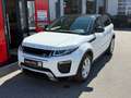 Land Rover Range Rover Evoque HSE Dynamic 2,0 TD4 Aut. Weiß - thumbnail 2