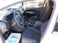 Ford C-Max Eco Boost Kamera SHZ Allwetter Top Blanc - thumbnail 7