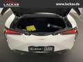 Lexus LC 500 Coupe*Ultimate*Neu/New Service* HUD * AD Panorama Navi Leder Memory Sitze Soundsystem Weiß - thumbnail 6