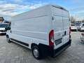 Opel Movano 35 L3 H2 2.2 Bluehdi 140CV S&S FURGONE PL-TA Blanc - thumbnail 7